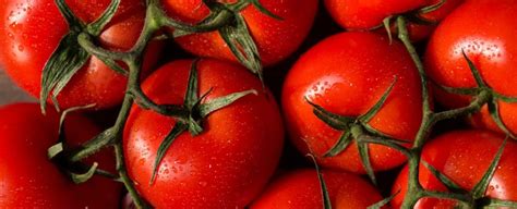 Potatoes are vegetables, as is celery. Here's Why a Tomato Is Actually Both a Fruit And Vegetable