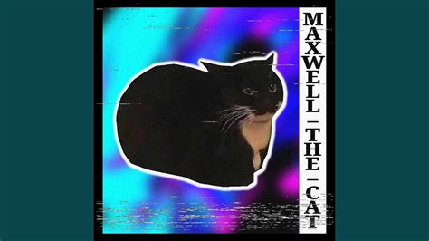 Maxwell The Cat Phonk Youtube