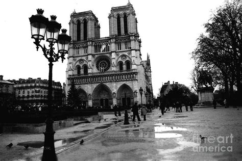 Paris Notre Dame Cathedral Notre Dame Cathedral Courtyard Rainy Black