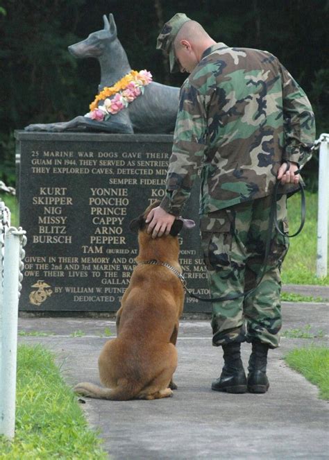 Lets Not Forget Our K9 Heroes On This Memorial Daymany Of Them Have