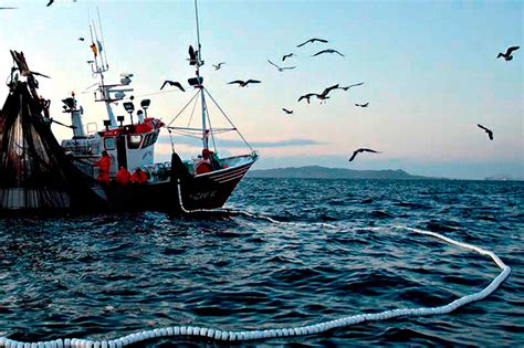 Diputados A Favor De Pesca Sustentable 2000agro Revista Industrial