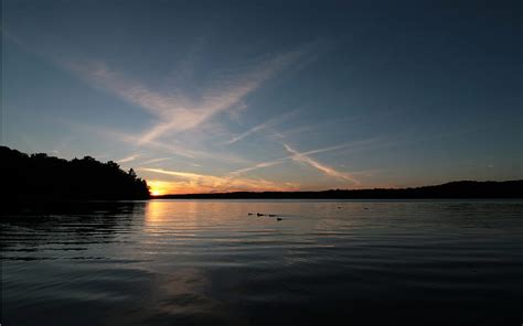 Ducks At Sunset Calm Ducks Sunset Reflection Clouds Sky Lake Hd