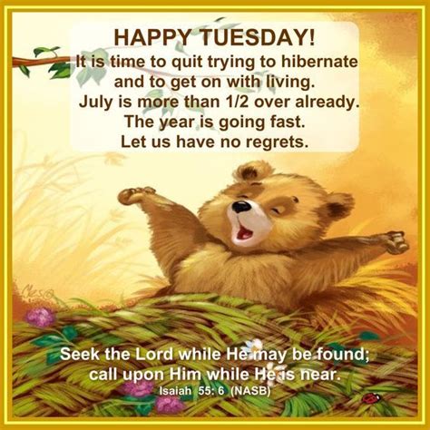 Waking Bear Happy Tuesday Pictures Photos And Images For Facebook