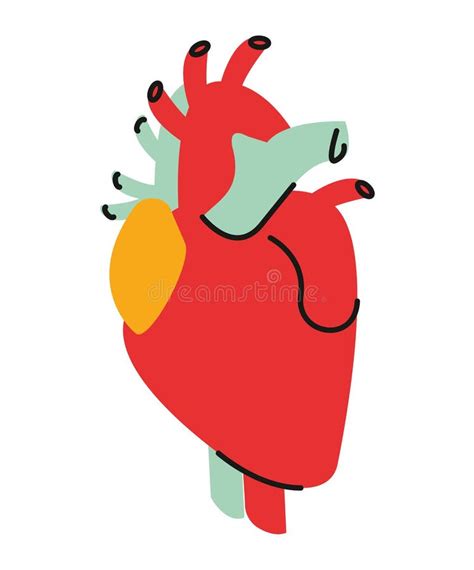 Heart Human Organ Stock Vector Illustration Of Heat 235068674