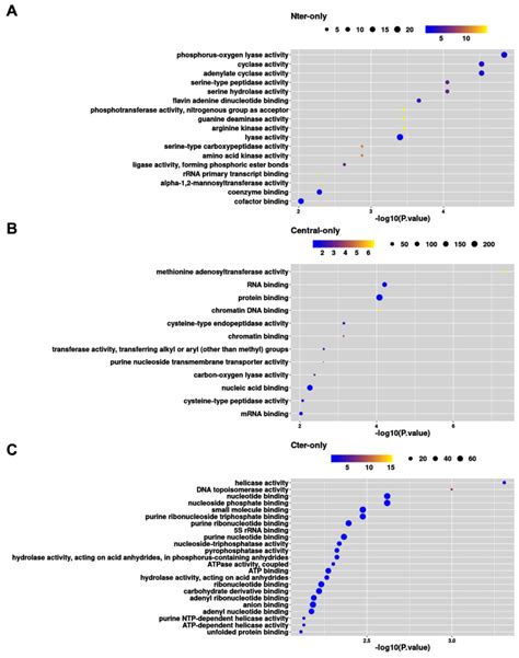 a global analysis of low complexity regions in the trypanosoma brucei proteome reveals