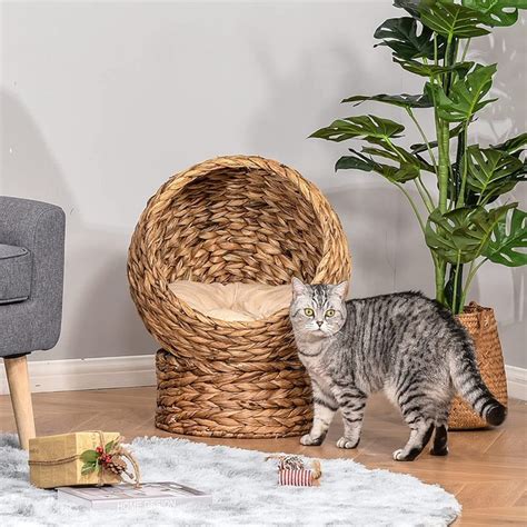 Best Cat Beds In 2023 6 Stylish Designs For Your Home Your Home Style