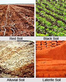 Rainmachine allows users to specify a soil type for each zone, allowing for more accurate and efficient watering calculations. CommunitySpeak » Quiz on the Different Types of Soil in India
