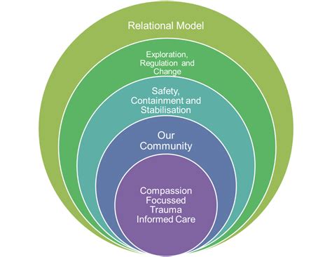 Secure Inpatient Service Model Of Care And Professional Practice Tees