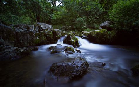 Nature River Wet Rocks Forest Moss Hd Wallpaper