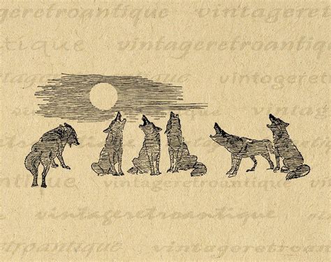 Wolf Illustration Antique Illustration Moon Graphic Graphic Image