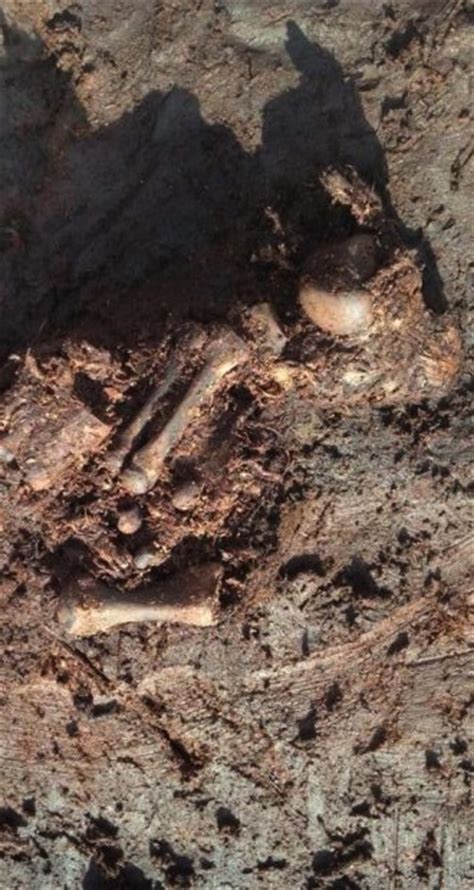Bog Body Uncovered In Irelands County Meath Archaeology Magazine