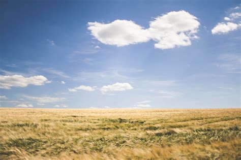 Free Images Landscape Horizon Cloud Plant Sky Field Meadow