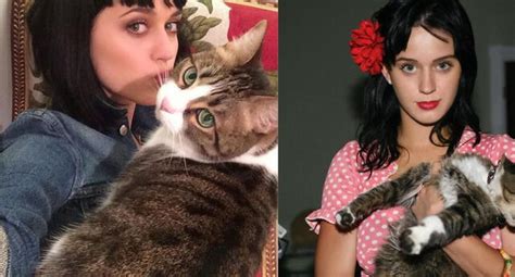 Katy Perry Se Encuentra Triste Por La Muerte De Su Gata “kitty Purry