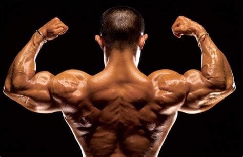 Exercising your back will improve muscle definition, posture and core strength, helping to prevent injury. Ten Awesome Old-School Bodybuilding Routines (Get Ripped Fast)