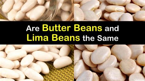 Butter Beans Vs Lima Beans Whats The Difference Fruit Faves