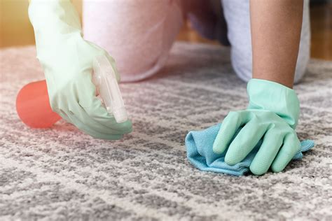 How To Get Rid Of Carpet Stains Quickly And Easily Cleanipedia
