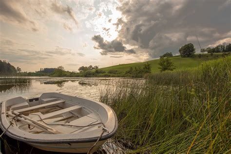Maybe you would like to learn more about one of these? See bei Wangen im Allgäu Foto & Bild | baum, himmel ...
