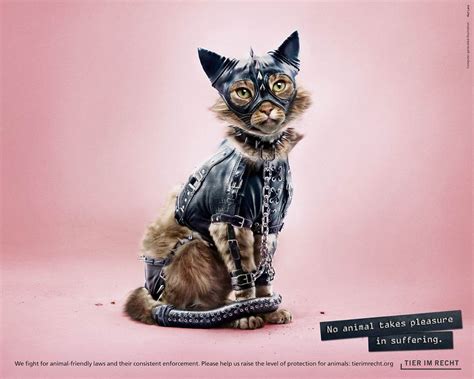 A Powerful Anti Cruelty Campaign Uses Shocking Images To Show That No