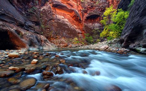 Virgin River Canyon Narrowing In Zion National Park Utah Usa
