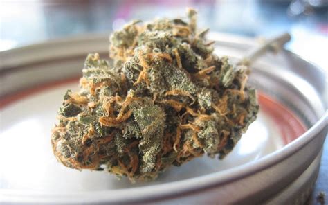 Orange Kush The Hybrid Strain That Works As A Powerful Relaxant