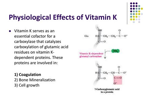 Ppt Vitamin K And Coagulation Powerpoint Presentation Free Download