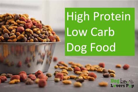 Best Low Carb Dog Food Brands 2024 Reviews Dry And Canned Top Picks