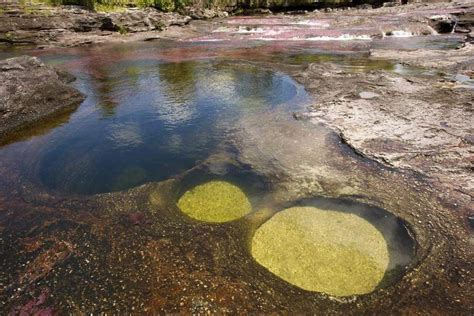 Caño Cristales The Most Beautiful River In The World