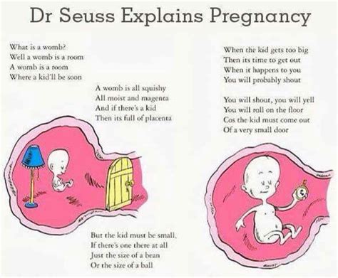 Dr Seuss Explains Pregnancythis Is So Adorable Its More Like A