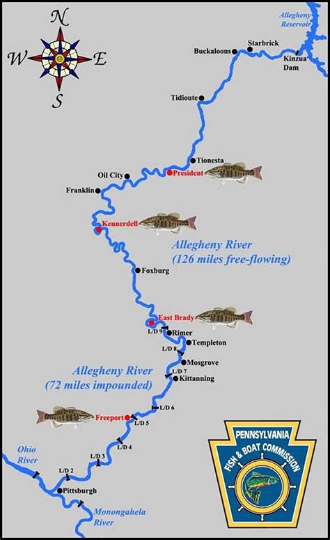 The allegheny river runs from its headwaters just below the middle of pennsylvania's northern border northwesterly into new york then. allegheny-river-map - EverybodyAdventures