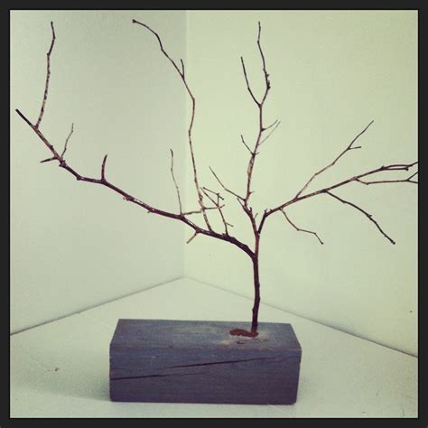 Tree Branch Display