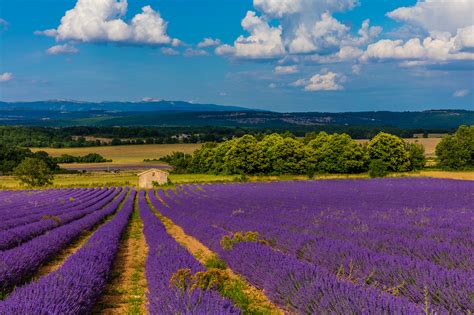 Provence U And Hps Landscape And Wildlife Photography