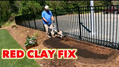 Planting Flowers In Red Clay Soil Amendments And Fertilizer Youtube