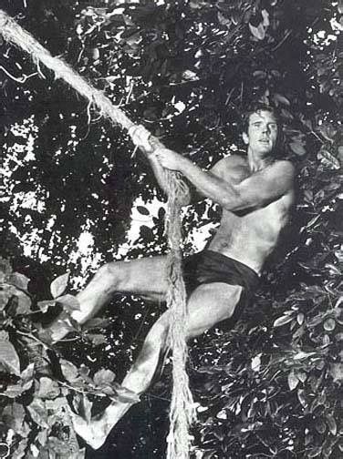 Pin By Angela Menoutis On Tarzan Tarzan Movie Tarzan Tarzan Of The Apes