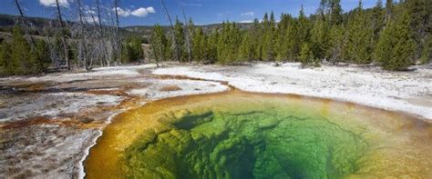 Yellowstone Is Reopening Families May Now Begin Packing Up Their