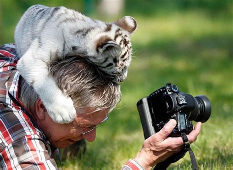 Heartwarming And Beautiful Moments That Only Nature Photographers Can