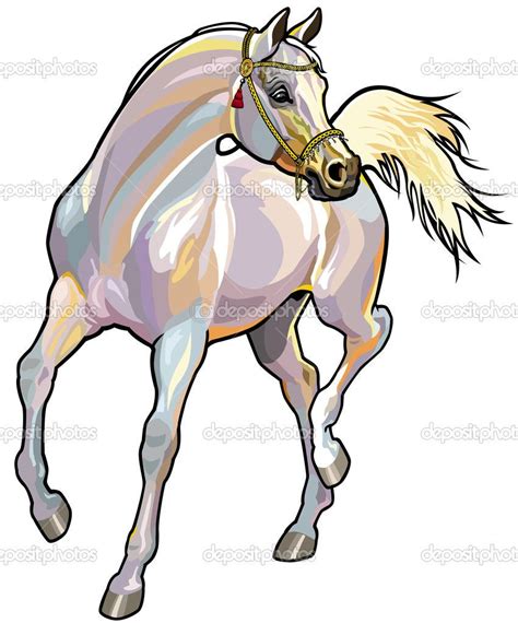 Arabian Horse Stock Vectors Royalty Free Arabian Horse White