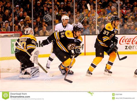 Adam Mcquaid Boston Bruins Editorial Stock Image Image Of Pads 23207089