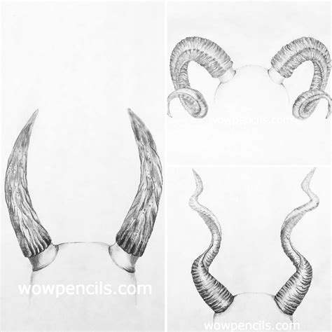 Step By Step Guide On How To Draw Horns With Graphite Pencil