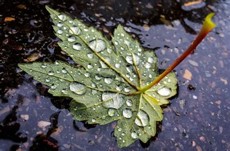 Den kalender als bild herunterladen. Wetter in Baden-Württemberg: Meteorologen warnen vor ...