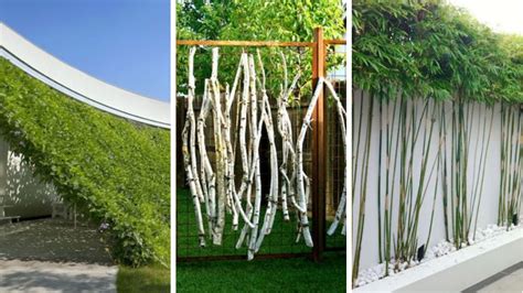 Check spelling or type a new query. Brise-vue végétal : 17 idées pour conserver l'intimité ...