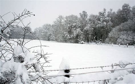 Download Wallpaper 1920x1200 Snow Winter Park Fence Trees