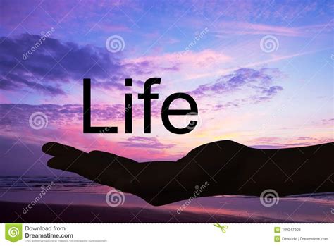 Hand Offering The Word Lifesunset Background Stock Photo Image Of