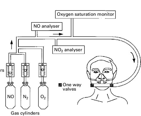 Nitric Oxide Delivery System Download Scientific Diagram