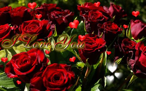 Valentines Day Red Roses E Cards 2018 Valentine Card Free Happy