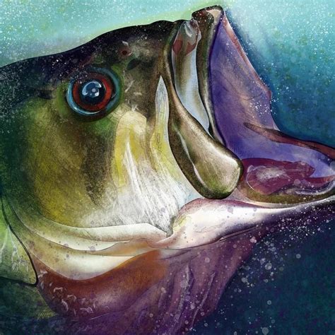 Largemouth Bass Head Painting Giclee Prints Etsy In 2021 Painting