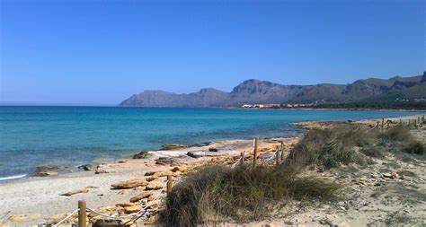 Mallorca S Best Beaches Son Serra De Marina