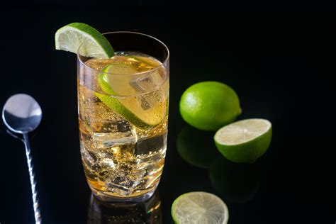 2 Easy Irish Whiskey And Ginger Ale Drink Recipes