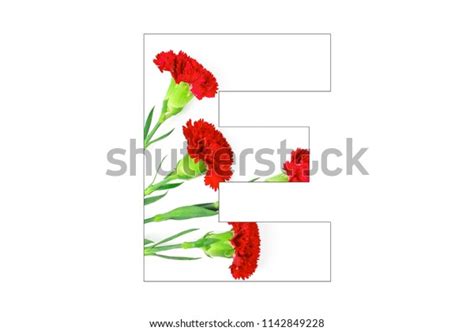 Flower Font Alphabet Az Made Carnation Stock Photo 1142849228