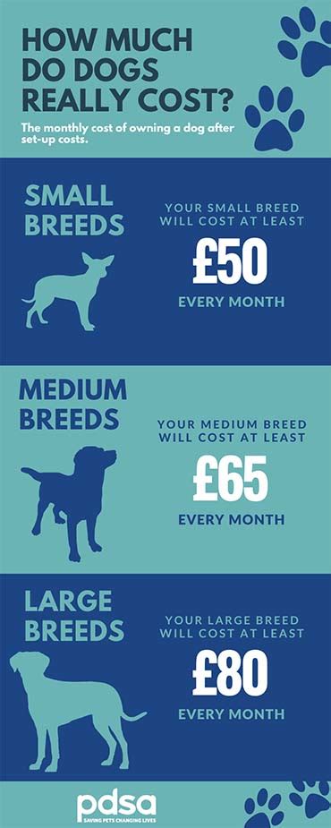 The Cost Of Owning A Dog Pdsa