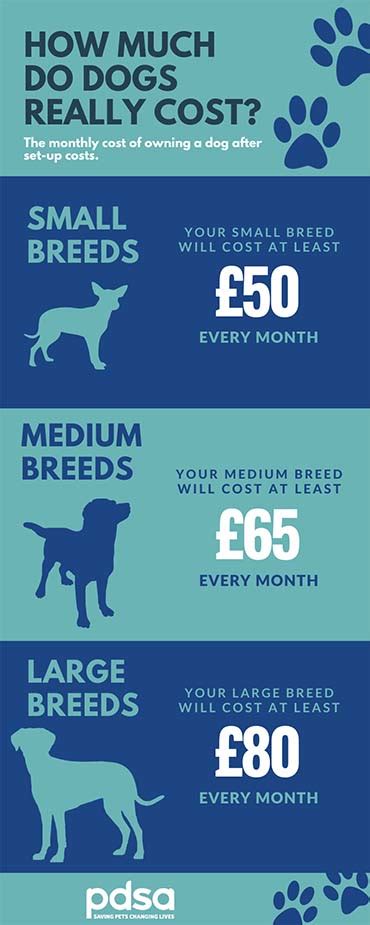 Full guide to your options, common illnesses your dog will be covered for and typical costs. The cost of owning a dog - PDSA
